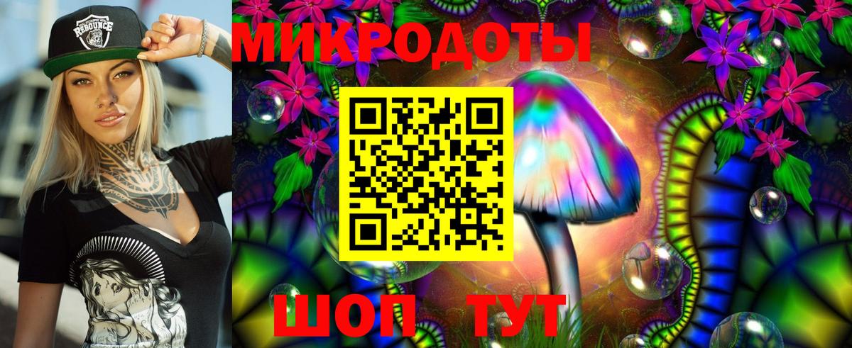 Псилоцибиновые грибы MAGIC MUSHROOMS  Вход с VPN  Каменка  Псилоцибиновые грибы Psilocybine cubensis 