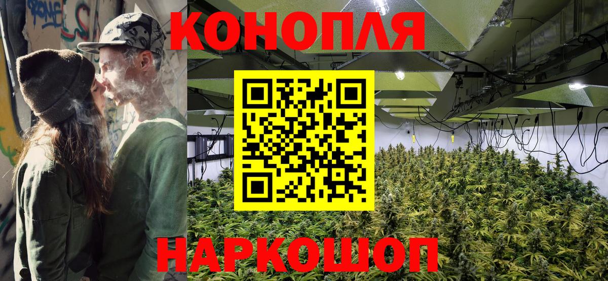 Канабис White Widow Каменка